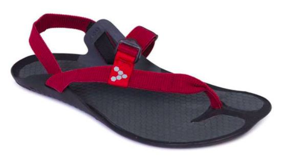 Zapatilla_minimalista